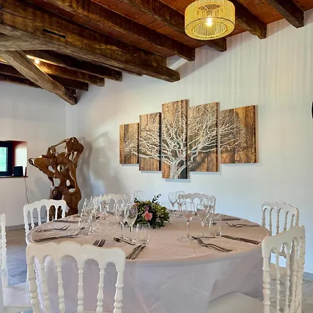 Domaine Le Petit Moulin Villa Lachy