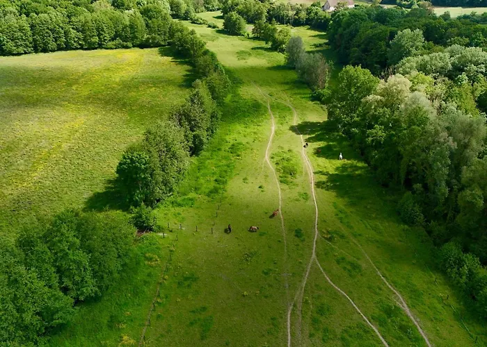 Villa Domaine Le Petit Moulin *